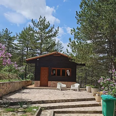 Camping Las Cabanas Campsite